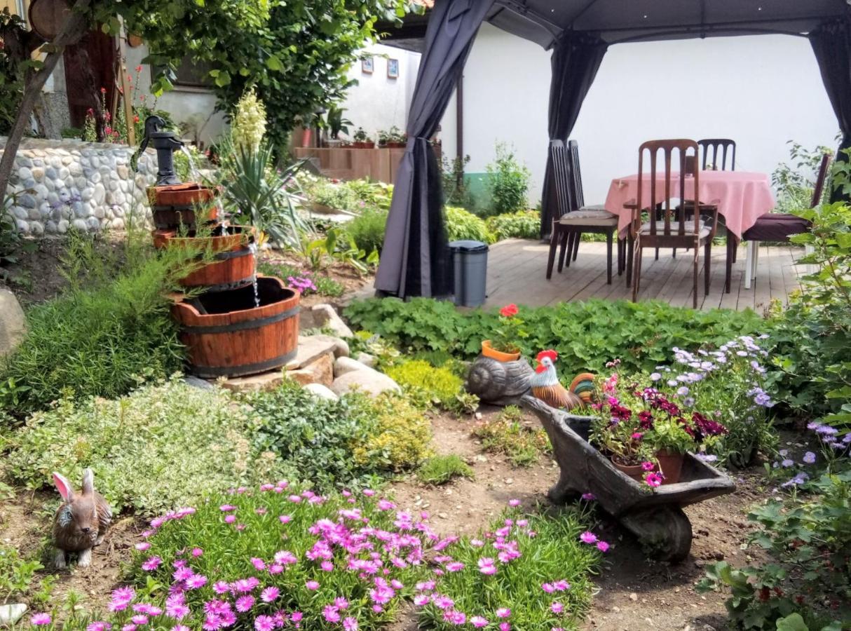 Guest House Milka ياغودينا المظهر الخارجي الصورة