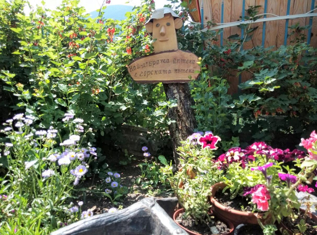 Guest House Milka ياغودينا المظهر الخارجي الصورة