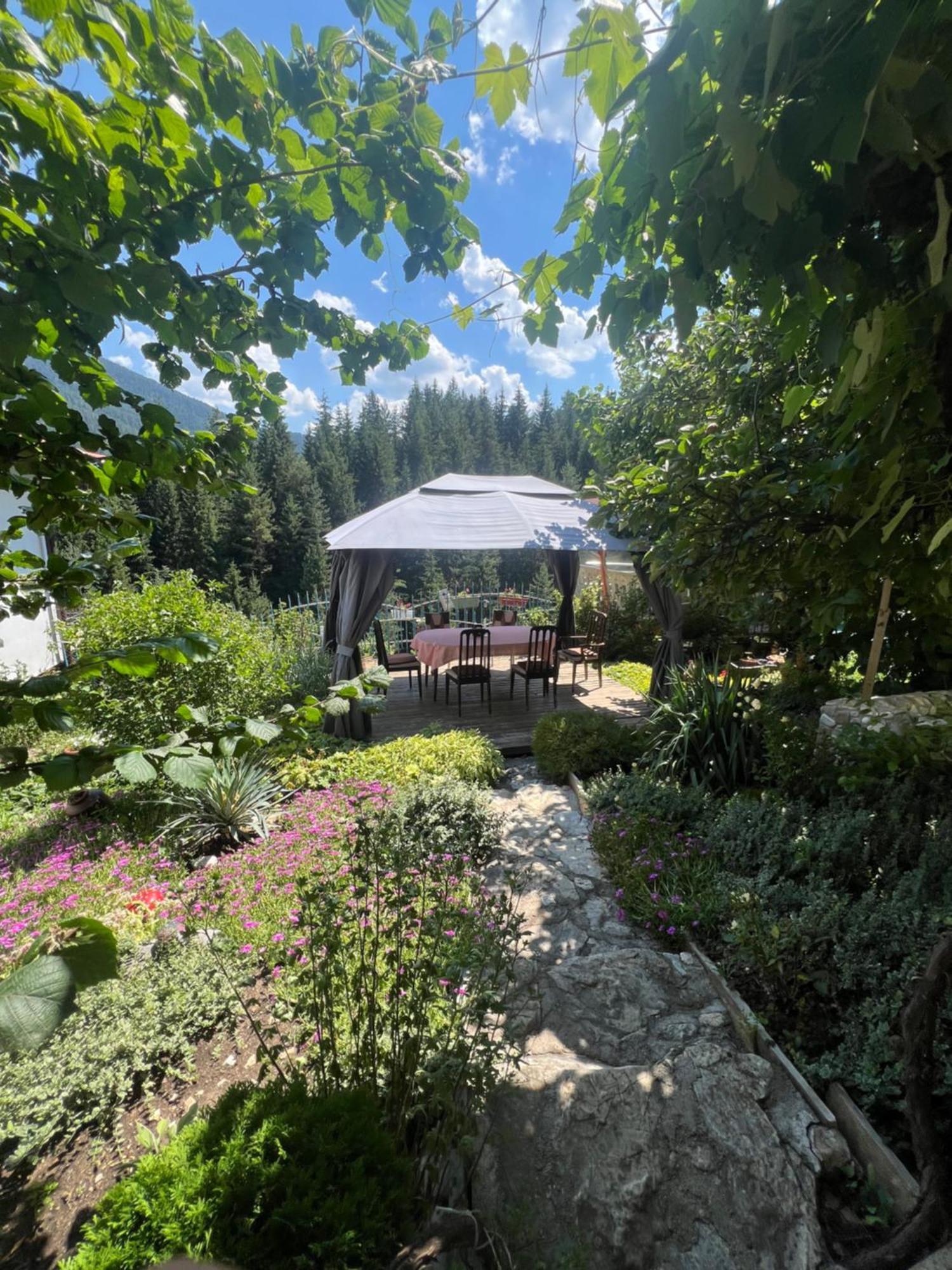 Guest House Milka ياغودينا المظهر الخارجي الصورة